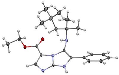 Development of Novel and Efficient Processes for the Synthesis of 5-Amino and 5-Iminoimidazo[1,2-a]imidazoles via Three-Component Reaction Catalyzed by Zirconium(IV) Chloride